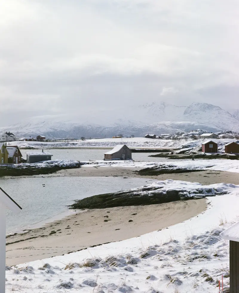 Snow on the coast
