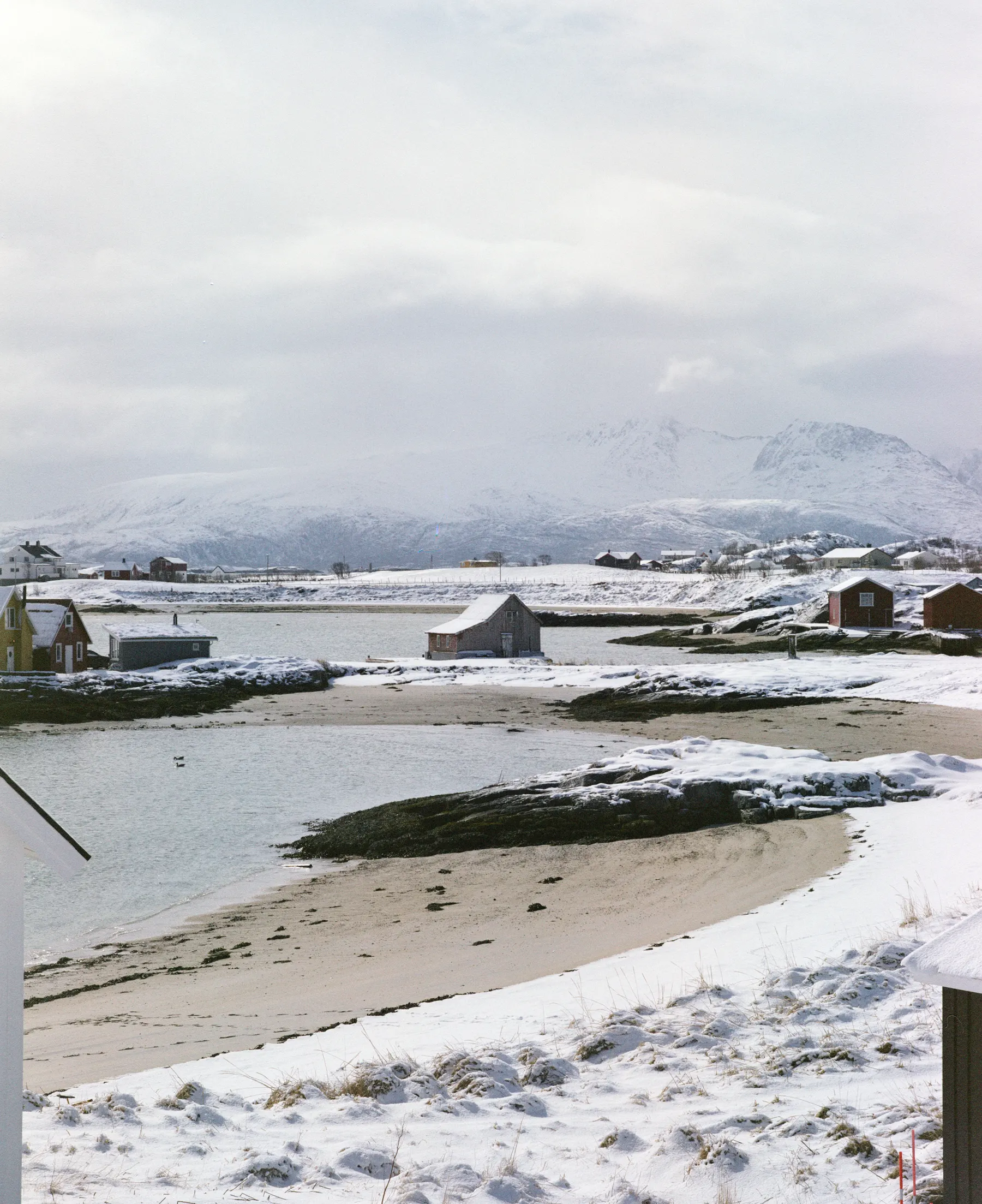 Snow on the coast