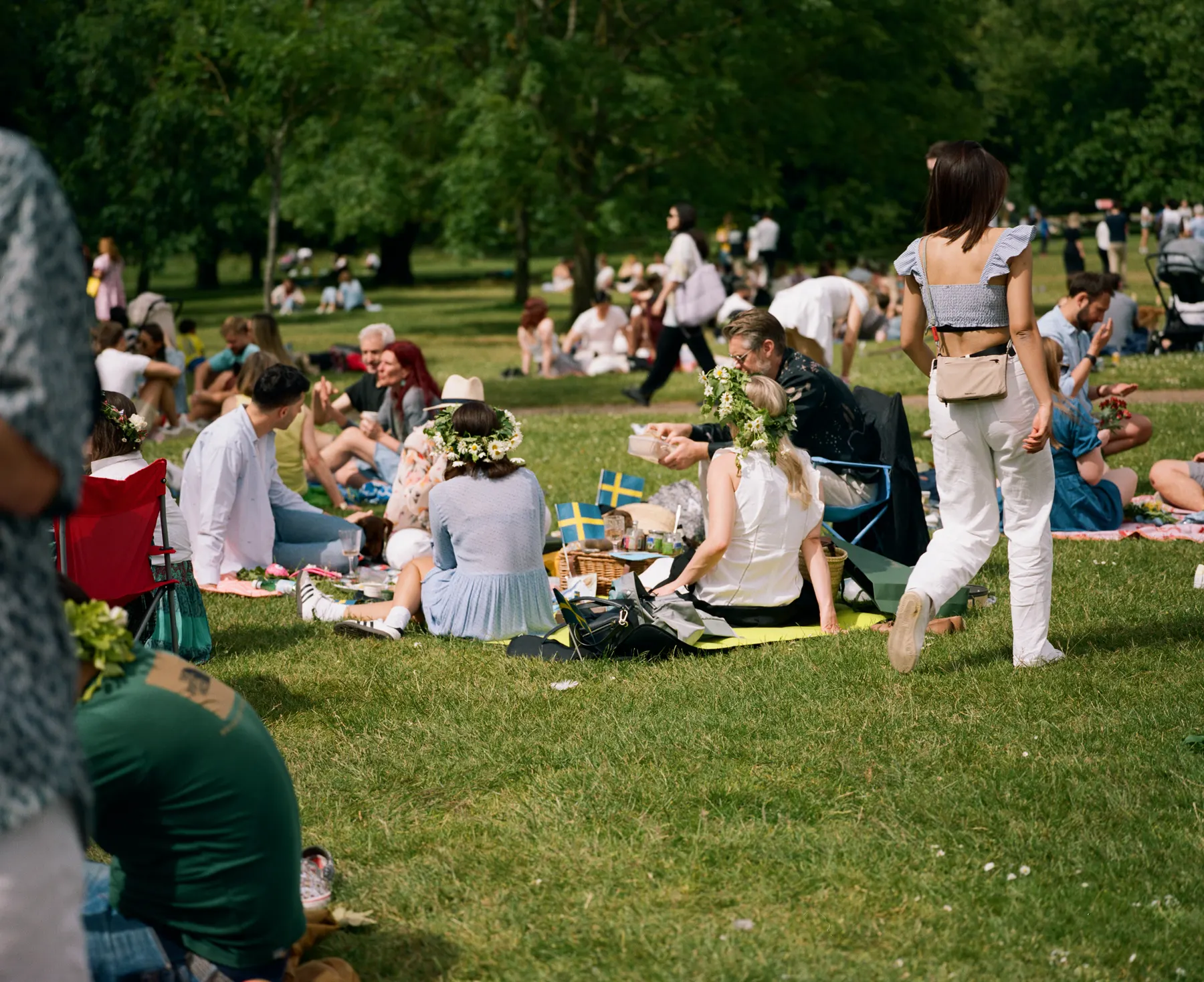 Picnic in the park