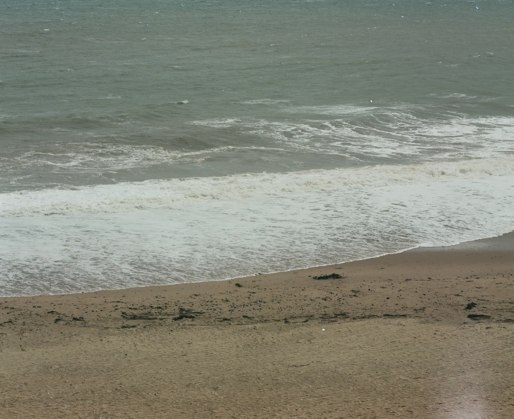 Shoreline