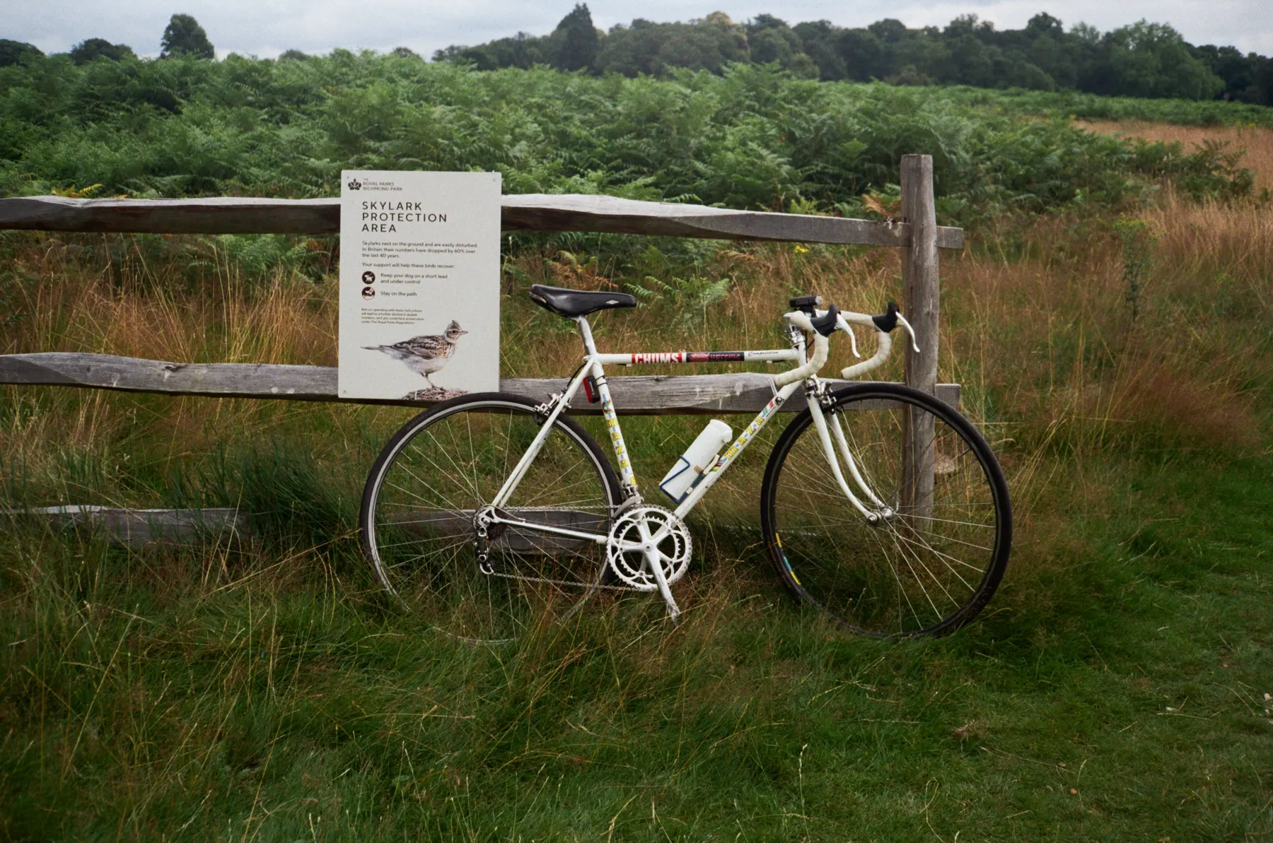 Resting bike