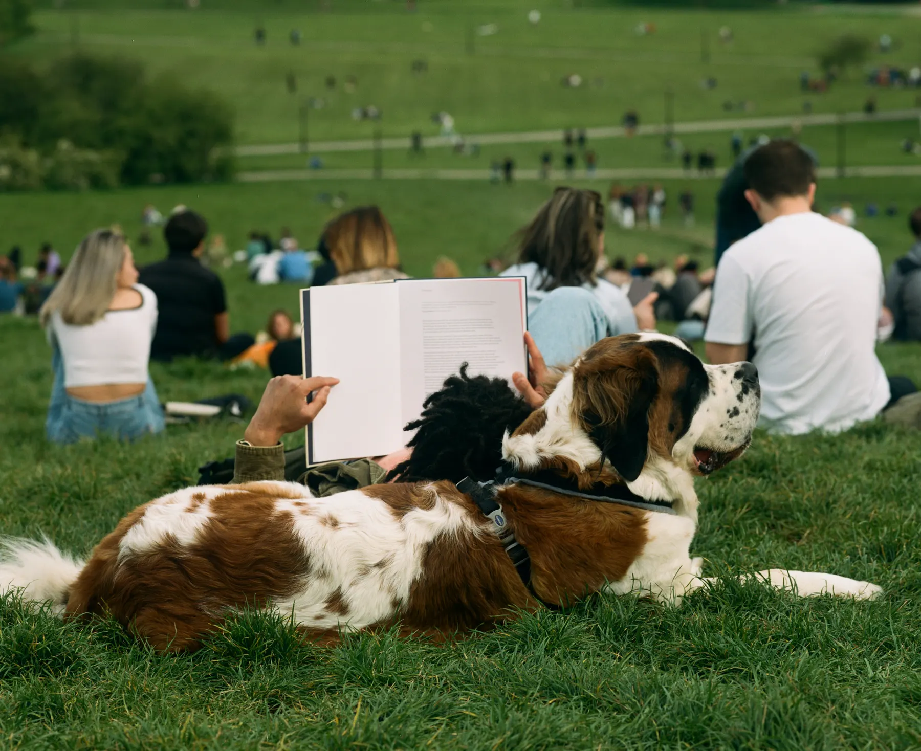 Sunday in the park