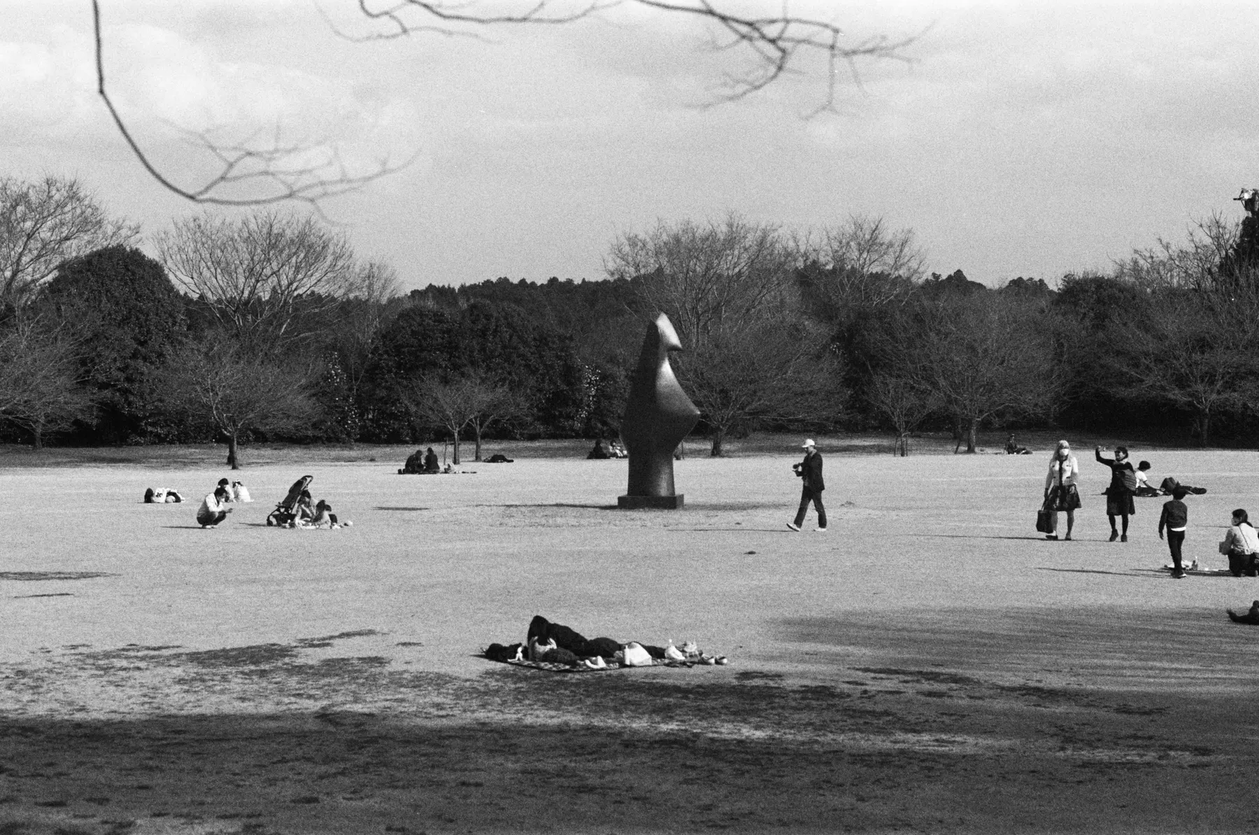 Park with sculpture