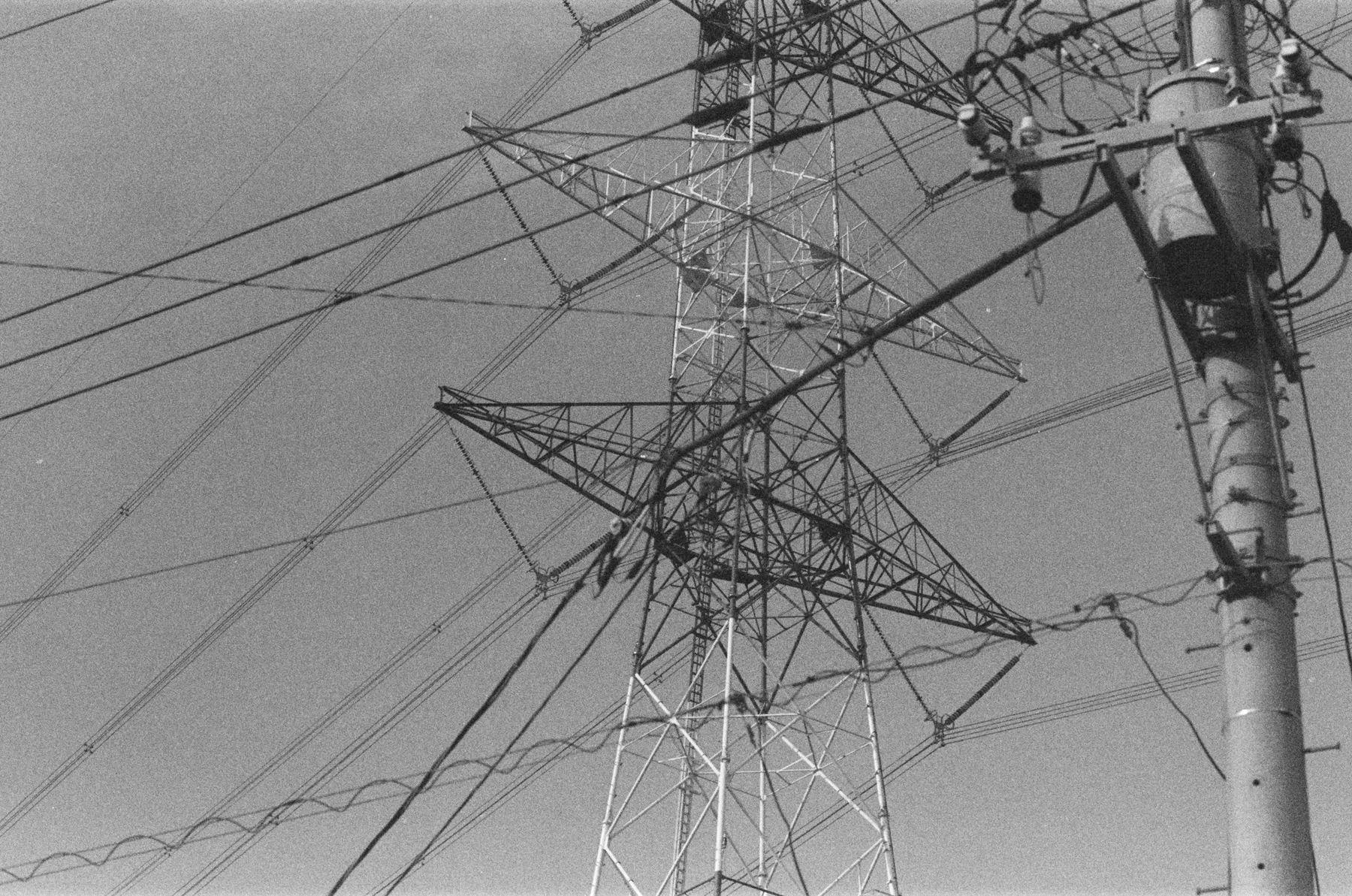 Pylon