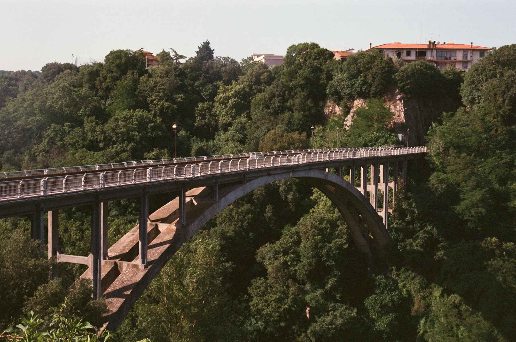The bridge