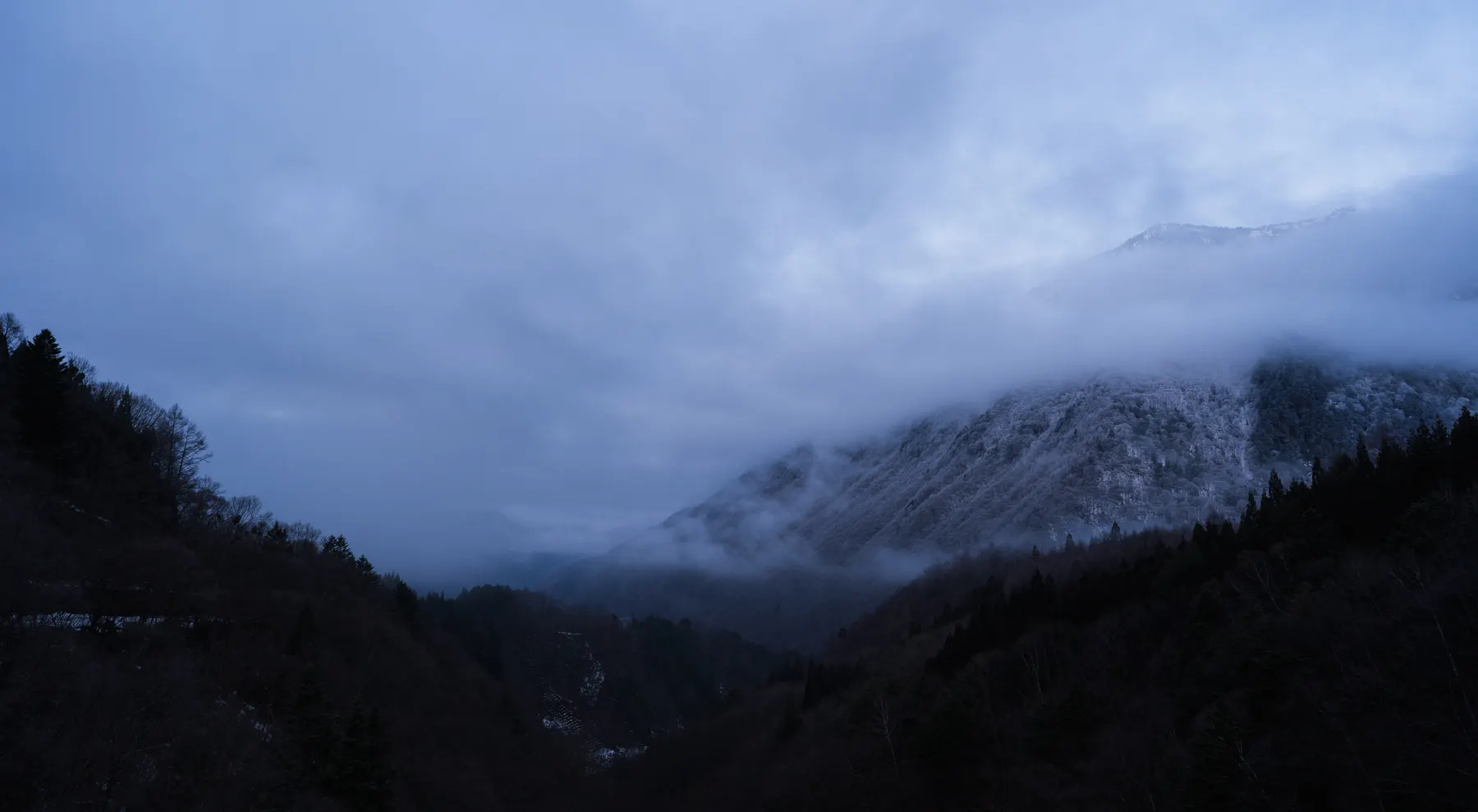 Mist in the valley