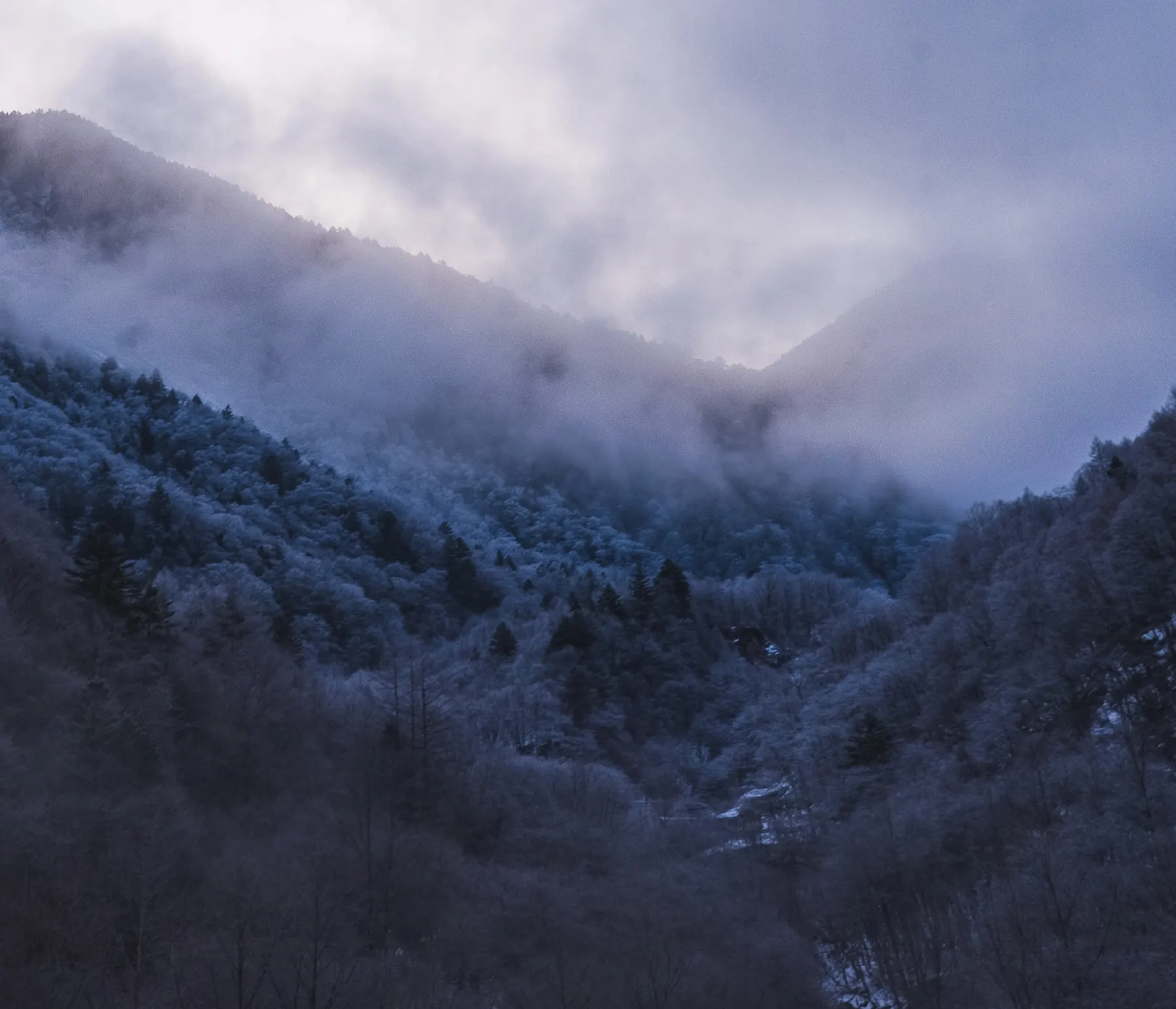 Frost on the mountain