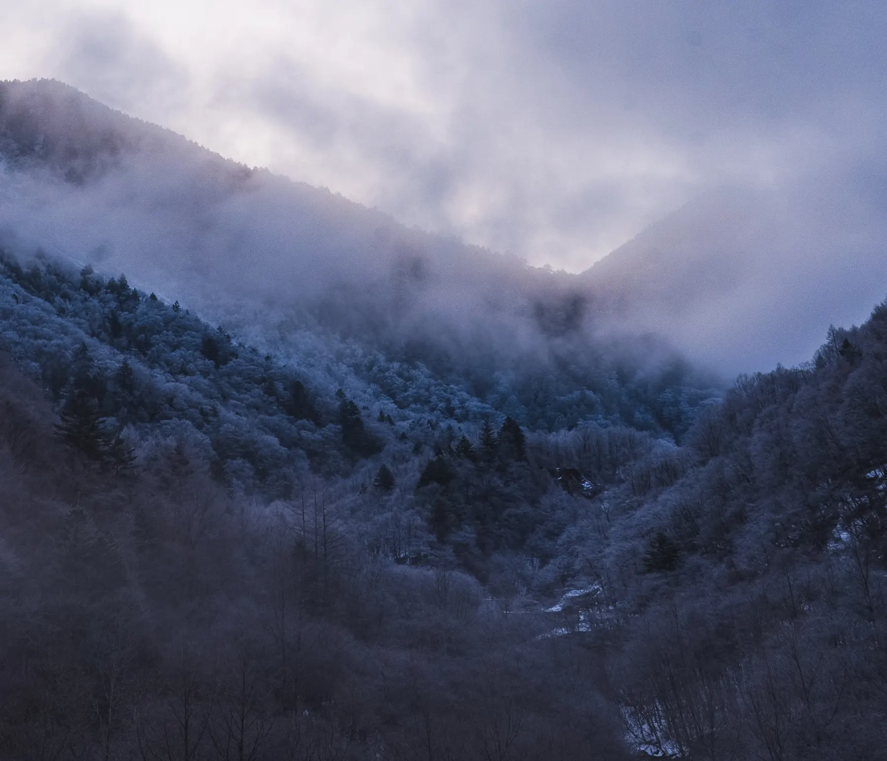 Frost on the mountain II