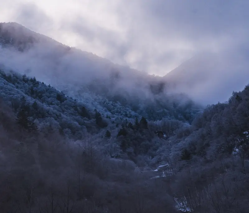 Frost on the mountain II