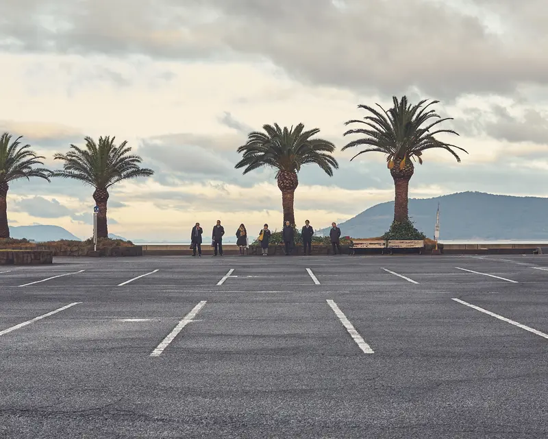 Palms by the car park